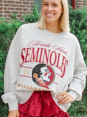 Florida State Seminoles Gray Graphic Sweatshirt